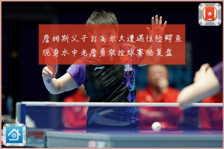 詹姆斯父子打高尔夫遭遇惊险鳄鱼现身水中老詹勇敢捡球赛场复盘