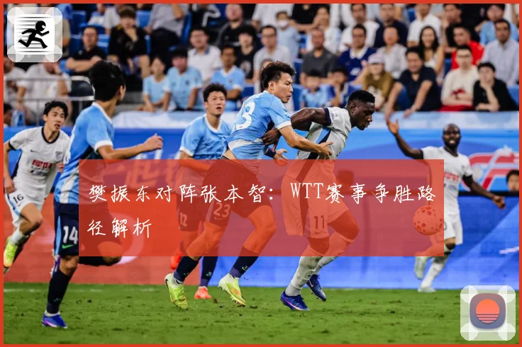 樊振东对阵张本智：WTT赛事争胜路径解析