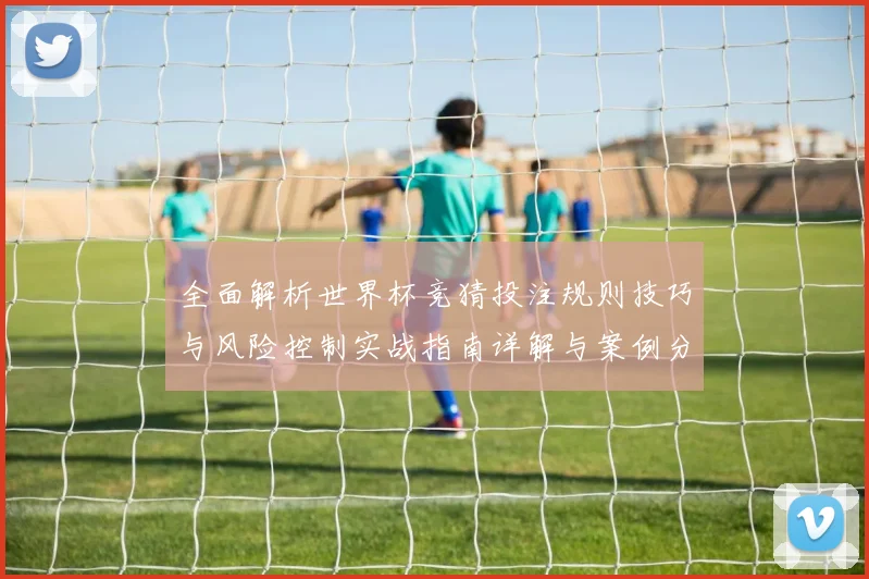 全面解析世界杯竞猜投注规则技巧与风险控制实战指南详解与案例分析