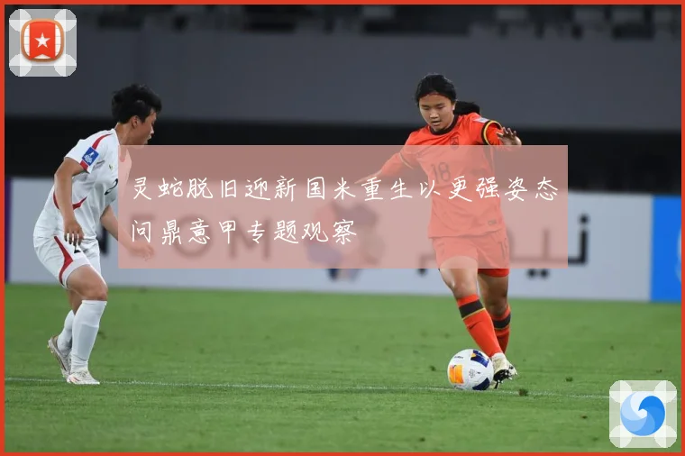 灵蛇脱旧迎新国米重生以更强姿态问鼎意甲专题观察